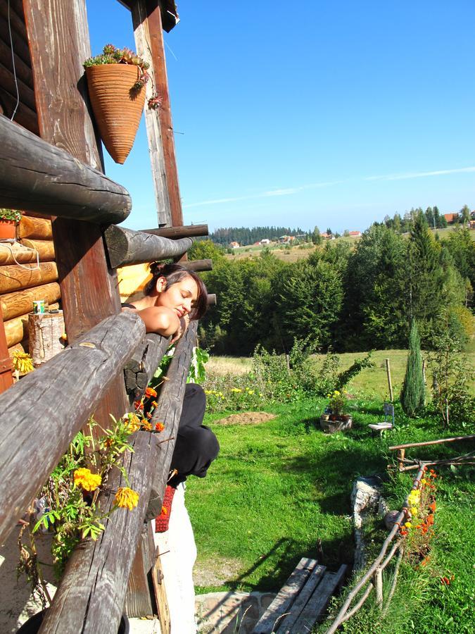 Mountain House Villa Mala Reka Exterior photo